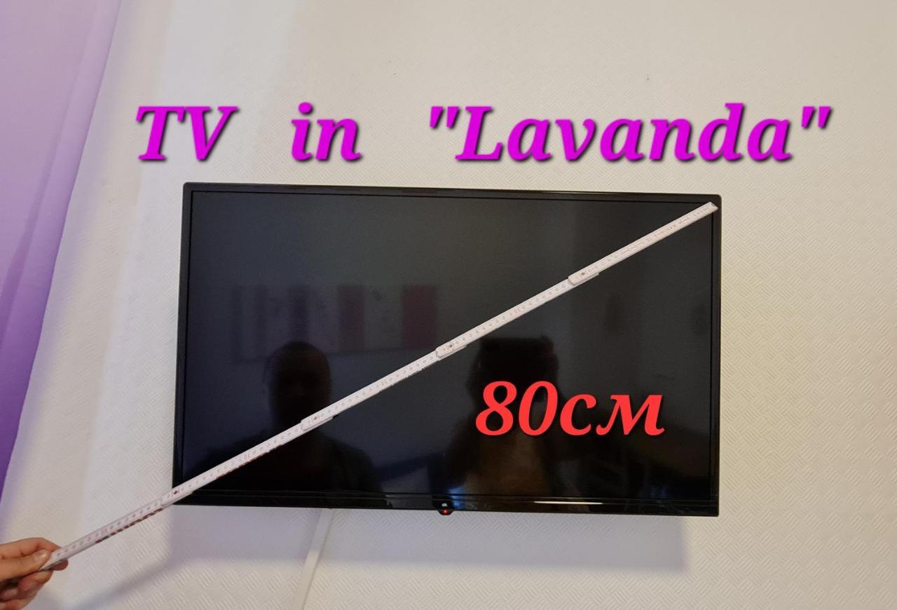 Elena Flat Lavendel Duisburg Zentrum Dış mekan fotoğraf